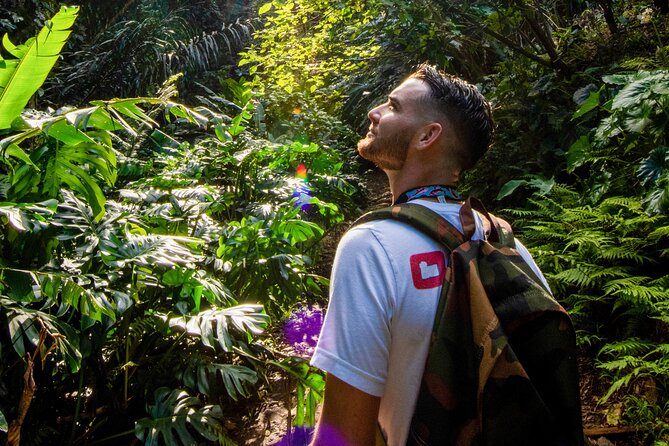 Oahu in a Day: Waterfall - Food Trucks - Lookouts - Small Crowds - Key Points