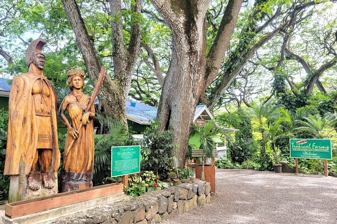 Oahu Island Sightseeing and Food Combo Tour - Key Points