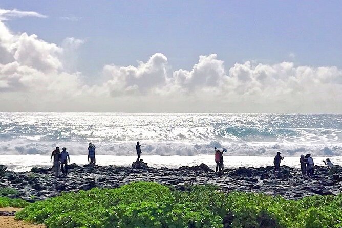 Oahu Island Sightseeing and Food Combo Tour - North Shore and Local Cuisine