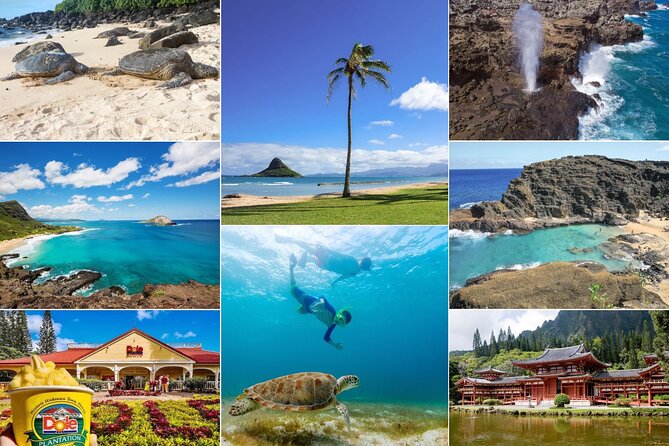 Oahu Island Tour: 13 ppl Max, Snorkel at Turtle Beach + Lunch - Key Points