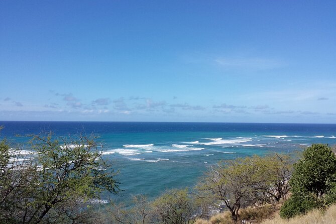 Oahu Island Tour: 13 ppl Max, Snorkel at Turtle Beach + Lunch - Relaxing at Eternity Beach