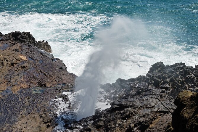 Oahu Island Tour: 13 ppl Max, Snorkel at Turtle Beach + Lunch - Panoramic Views from Makapu’u Point