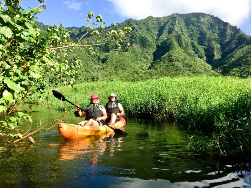 Oahu: Kahana Rainforest River 4-Hour Kayak Rental - Safety and Comfort Are Top Priorities