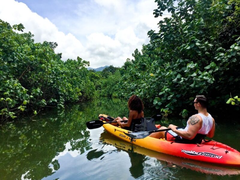 Oahu: Kahana Rainforest River 4-Hour Kayak Rental - Flexible Booking and Cancellation Policies