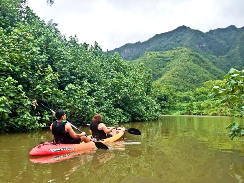 Oahu: Kahana Rainforest River 4-Hour Kayak Rental - What Sets This Tour Apart from Other Kayaking Options