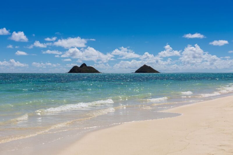 Oahu: Kailua Guided Kayak Excursion with Lunch - Key Points