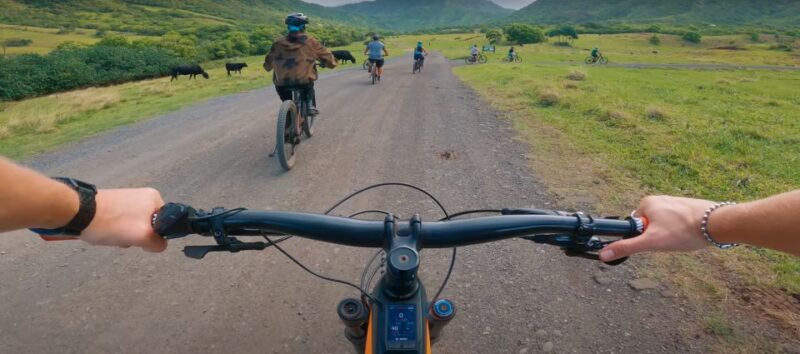 Oahu: Kualoa Electric Bike Tour - Reviews Highlighting the Tour’s Strengths