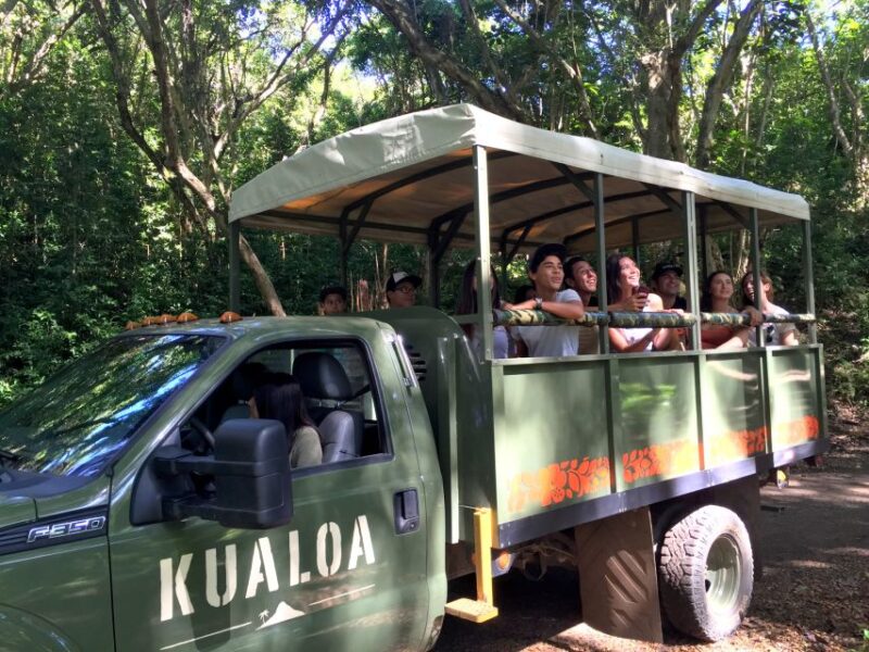 Oahu: Kualoa Movie Sites, Jungle, and Buffet Tour Package - Enjoying a Buffet Lunch at Kualoa Ranch