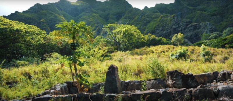 Oahu: Kualoa Open Air Jungle Expedition Tour - The Guide’s Role and Tour Experience