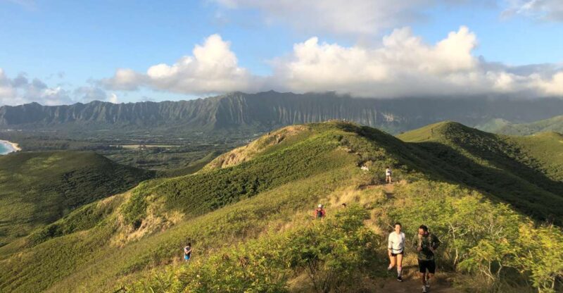 Oahu: Manoa Falls Hike and east side beach day - Scenic Stops on the Southeast and North Shore of Oahu