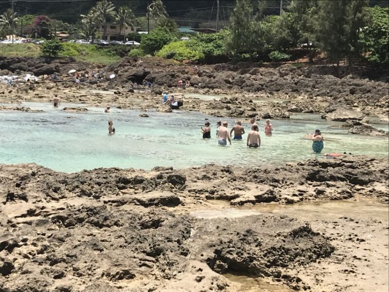 Oahu: Manoa Falls Hike and east side beach day - Practical Details and What to Bring