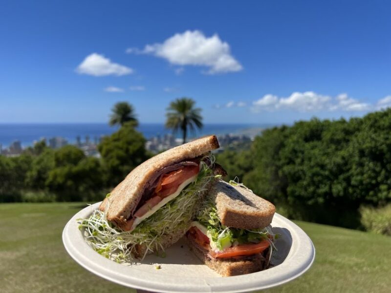 Oahu: Manoa Falls Waterfall Hike with Lunch and Transfers - Key Points