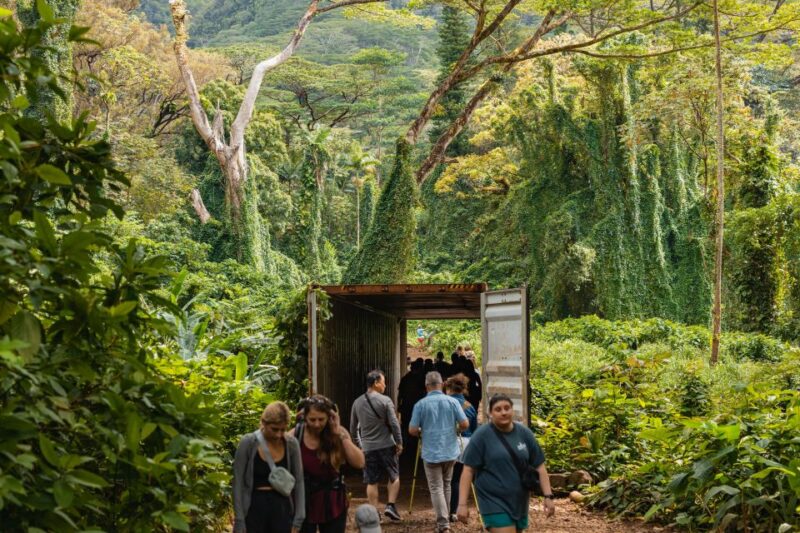 Oahu: Manoa Falls Waterfall Hike with Lunch and Transfers - Discovering the Legend and Nature of Manoa Valley
