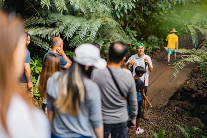 Oahu: Manoa Falls Waterfall Hike with Lunch and Transfers - Scenic Lunch with Views at Tantalus Lookout