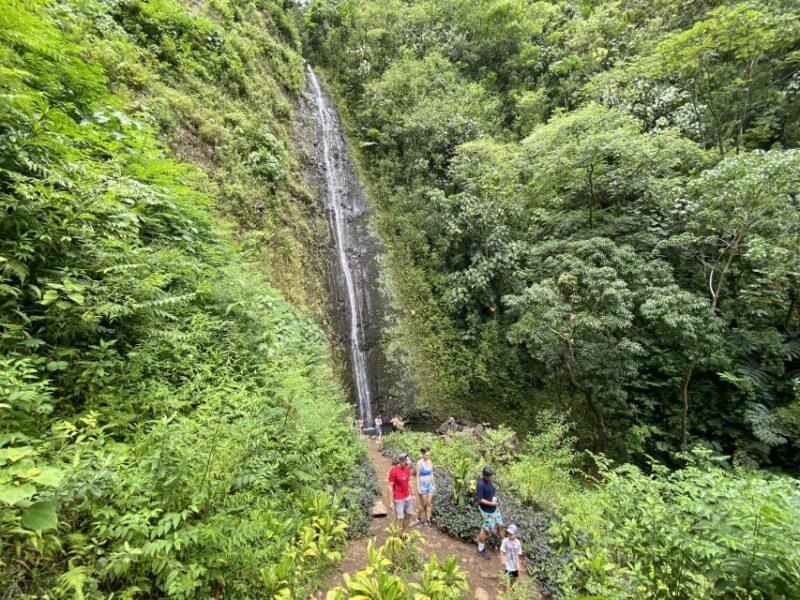 Oahu: Manoa Valley Private Hiking Trip & Waterfall - Explore Oahu’s Manoa Valley on a Private Hiking Adventure