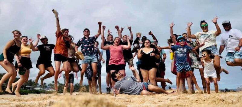 Oahu: North Shore Beaches, Turtles, and Dole Plantation Tour - Key Points