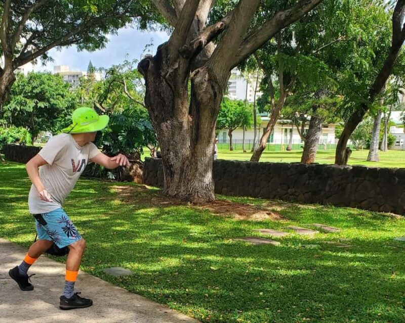 Oahu: North Shore Beaches, Turtles, and Dole Plantation Tour - Logistics, Group Size, and Recommendations