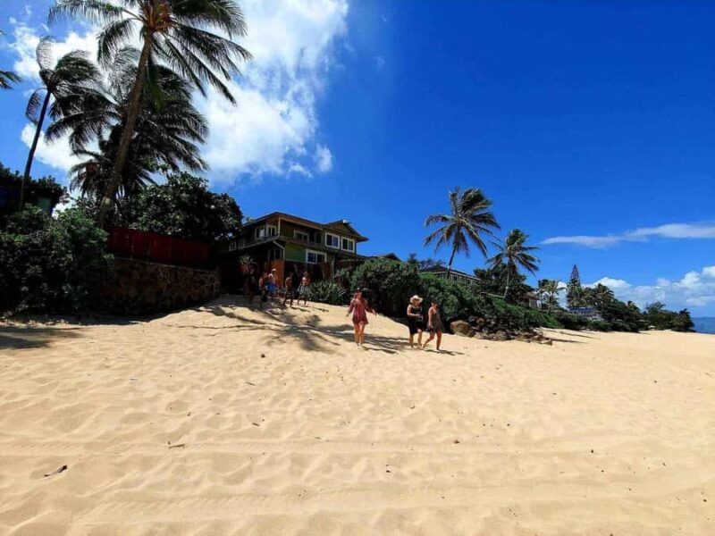 Oahu: North Shore Beaches, Turtles, and Dole Plantation Tour - Timing and Schedule Flexibility