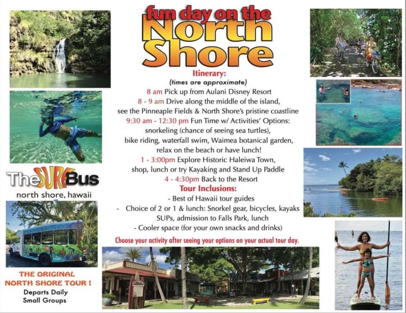 Oahu: North Shore Day Trip with Activities Included - What Sets This Tour Apart from Other North Shore Excursions