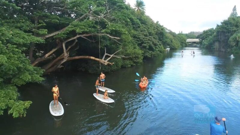 Oahu: North Shore Haleiwa Paddleboard River Adventure - Equipment and Safety Gear Provided