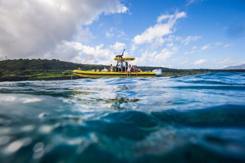 Oahu: North Shore Marine Life Tour from Haleiwa - Explore Oahu’s North Shore Marine Life on a Fast, Intimate Boat Tour
