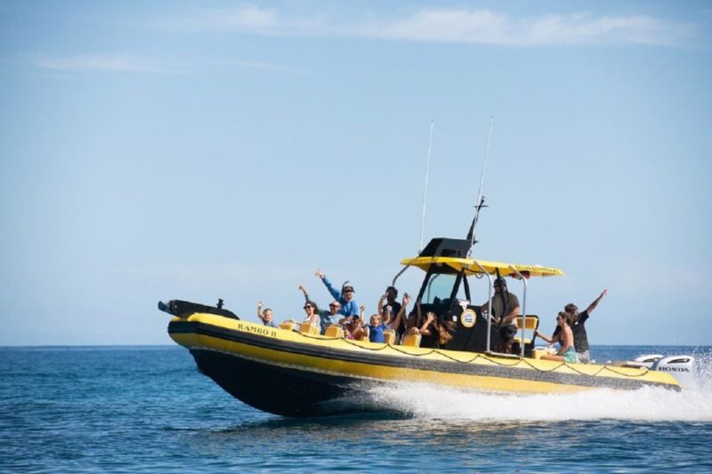 Oahu: North Shore Marine Life Tour from Haleiwa - Possible Drawbacks and Considerations