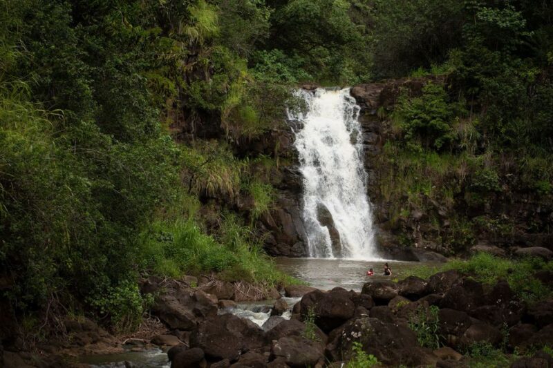 Oahu: North Shore Waterfall Swim - Discovering North Shore’s Botanical Gardens