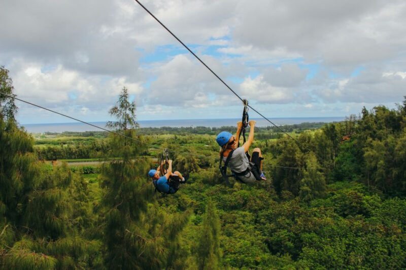 Oahu: North Shore Zip Line Adventure with ATV and Farm Tour - The Experience from a Travel Perspective