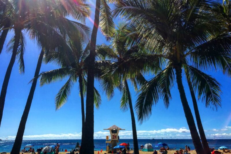 Oahu: Pearl Harbor and Honolulu City Tour - Key Points
