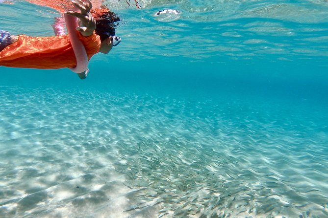 Oahu Personalized Private North Shore Highlight Custom Tour - Stops at Waikele Premium Outlets and the Aloha Stadium Swap Meet