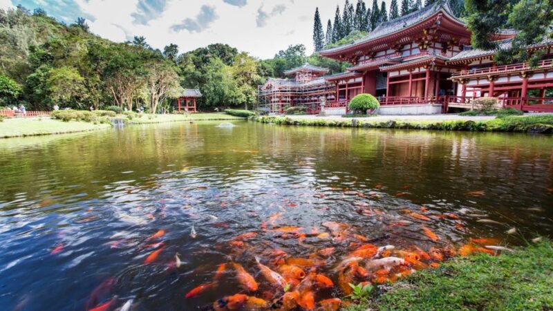 Oahu: Private Custom Island Tour - Cultural and Film Locations: Movie Sets and Historic Landmarks