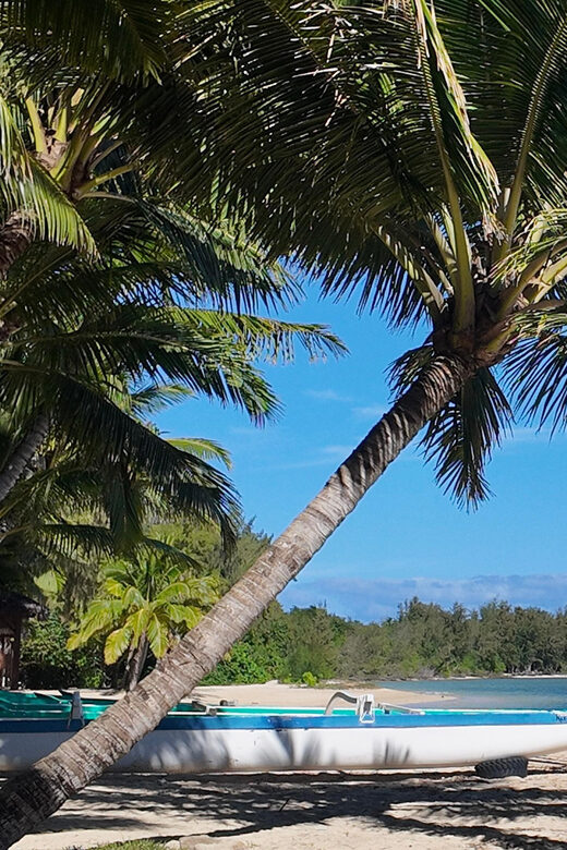 Oahu: Private Full Circle Island Tour - Customizable - Who Will Love This Tour Most