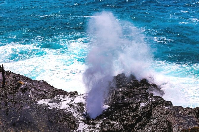 Oahu Private Sightseeing Tour - Kualoa Regional Park: Iconic Scenery and Movie Locations