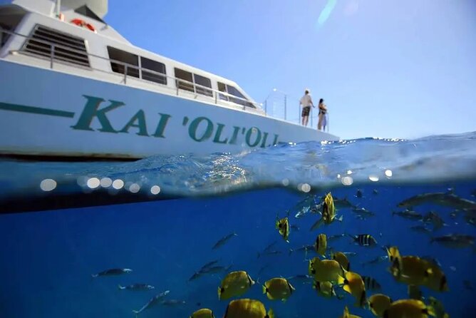 Oahu Private Sunset Snorkel and Dolphin Watch with Hot Buffet - Discover the Exclusive Oahu Sunset Snorkel and Dolphin Watch Cruise