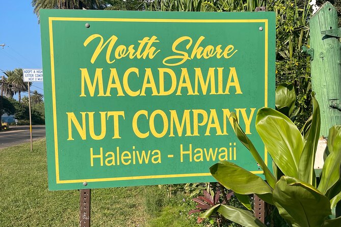 Oahu Private Tour North Shore, Waimea Falls and Dole Plantation - Key Points