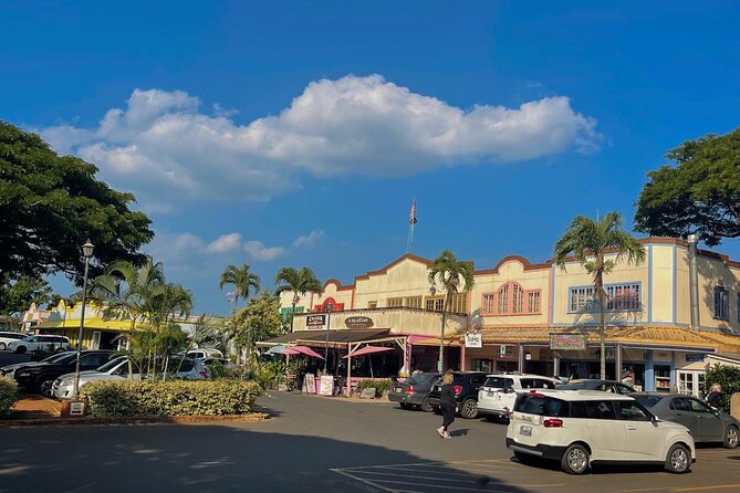 Oahu Private Tour North Shore, Waimea Falls and Dole Plantation - Encounter Hawaii’s Green Sea Turtles at Laniakea Beach