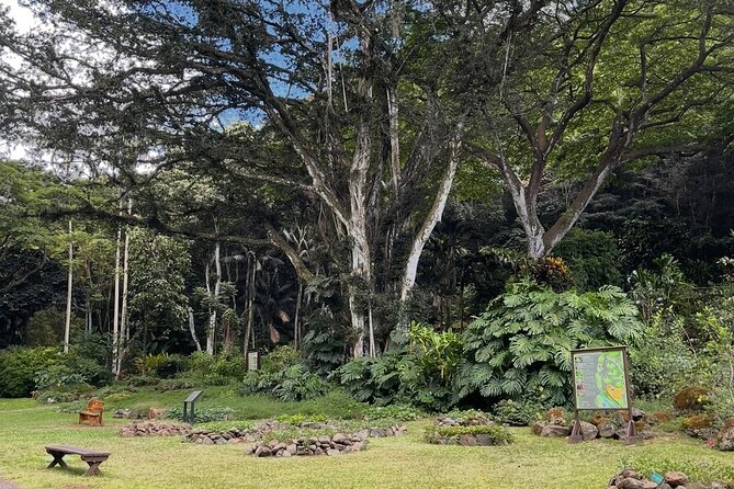 Oahu Private Tour North Shore, Waimea Falls and Dole Plantation - Stroll Through Lush Paradise at Waimea Falls