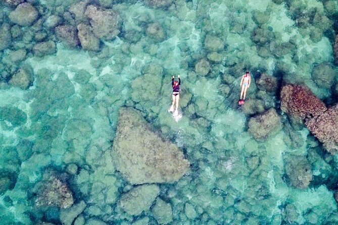 Oahu Private Tour North Shore, Waimea Falls and Dole Plantation - Practical Details: Transportation, Flexibility, and Comfort