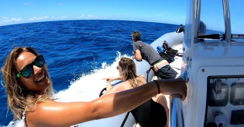 Oahu: Private Whale Watching Adventure - The High-Speed Boat in Honolulu for Maximum Range