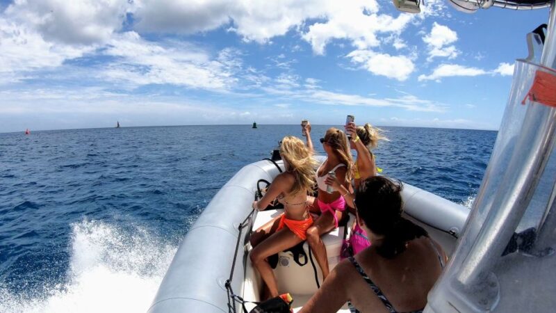 Oahu: Private Whale Watching Adventure - What Guides Share About Hawaii’s Humpback Whales