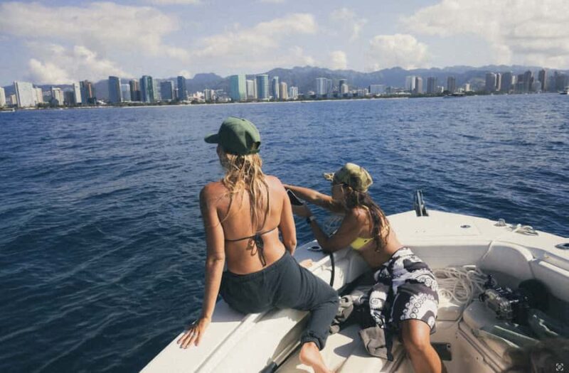 Oahu: Private Whale-Watching Tour - 6 passengers max - The Whales and Marine Environment of Oahu