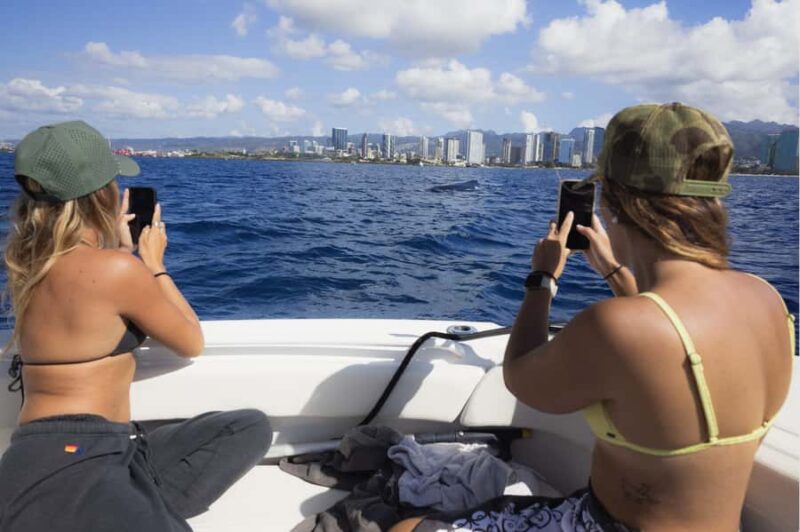 Oahu: Private Whale-Watching Tour - 6 passengers max - The Scenic Coastlines of Oahu from the Water