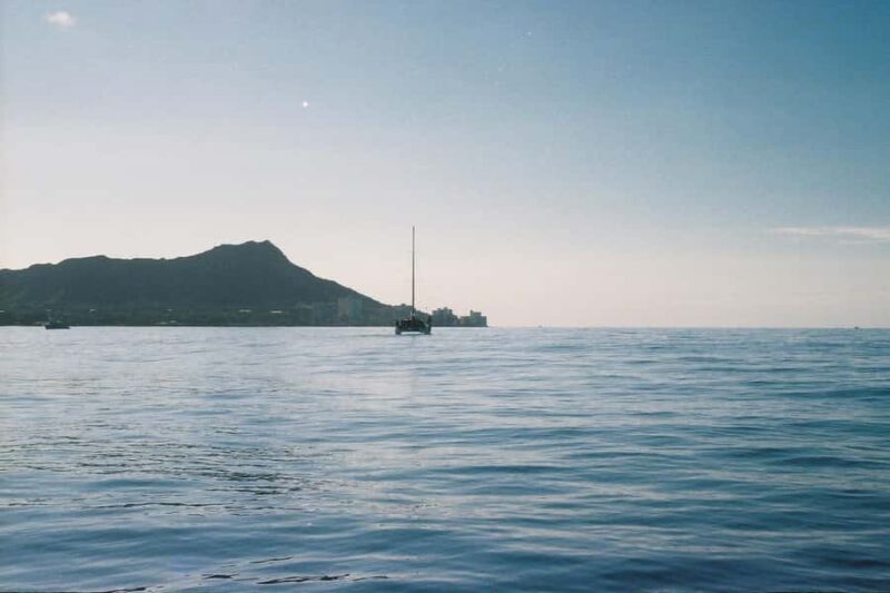 Oahu: Private Whale-Watching Tour - 6 passengers max - Support for Eco-Friendly and Respectful Viewing