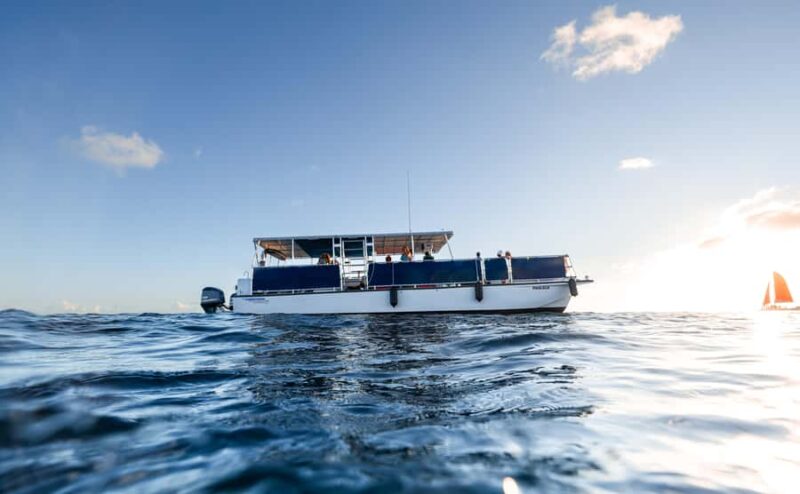 Oahu: Scenic Diamond Head Sunset Cruise (BYOB) - Key Points