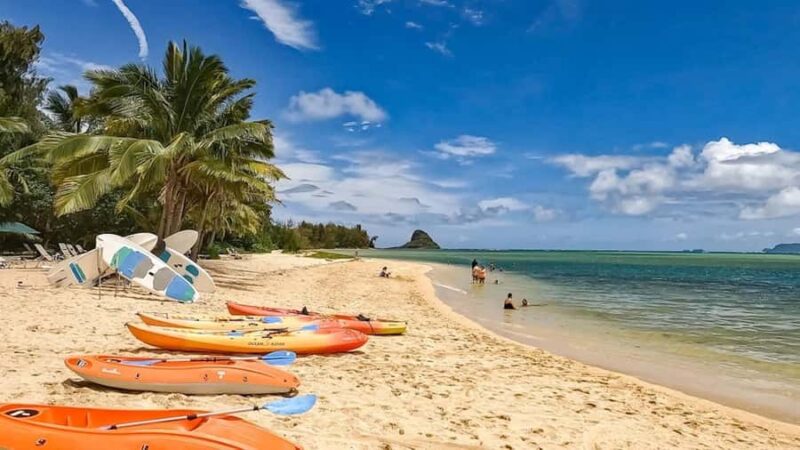 Oahu: Secret Beach Circle Island Adventure - Explore the Best of Oahu on a 9-Hour Private Beach and Scenic Drive Tour