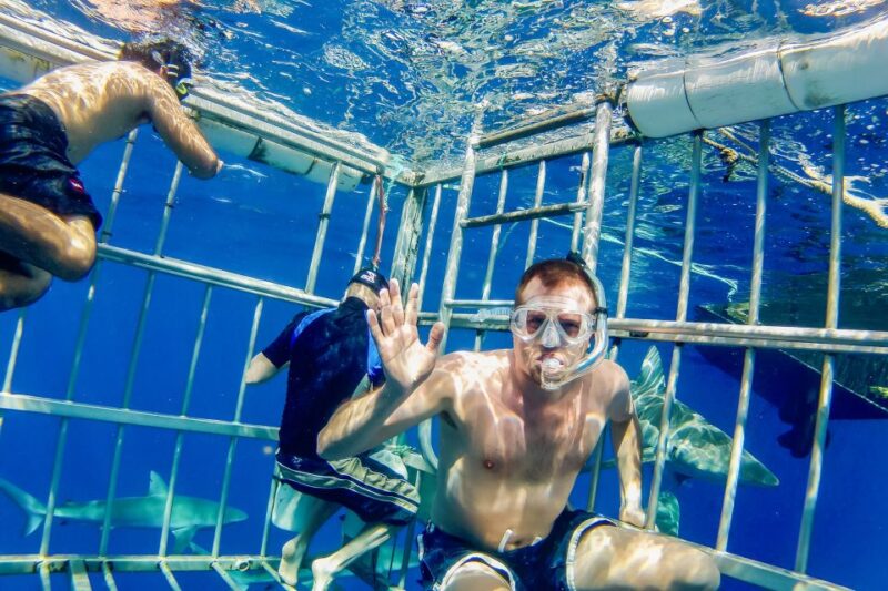 Oahu: Shark Cage Dive on the North Shore - The Choice: Relaxing on Deck or Entering the Shark Cage