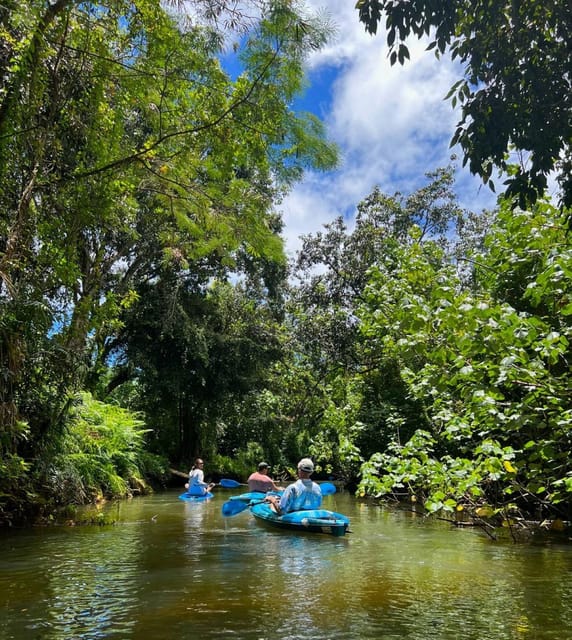 Oahu: Single & Double Kayak 3-Hour River Rental - Experience the Beauty of Kahana River and Bay on a 3-Hour Kayak Rental
