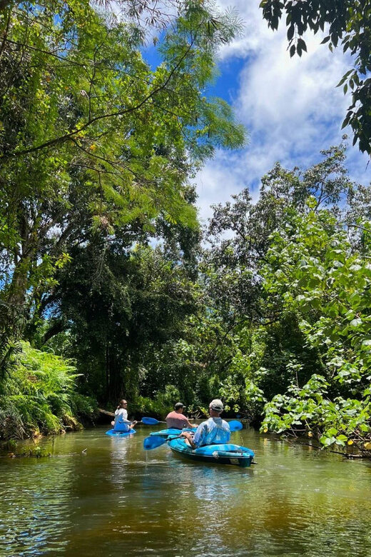 Oahu: Single & Double Kayak 3-Hour River Rental - Safety and Comfort with Included Gear