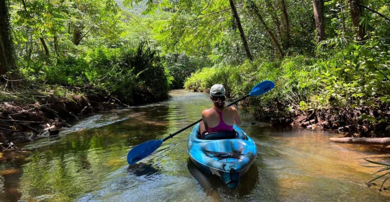 Oahu: Single & Double Kayak 3-Hour River Rental - The Value of a Self-Guided Kayaking Experience