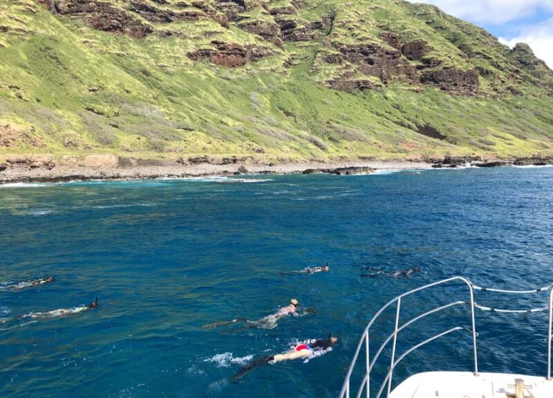 Oahu: Snorkel Adventure in Marine Sanctuary - Discover Oahu’s Vibrant Marine Sanctuary with Snorkel Adventure